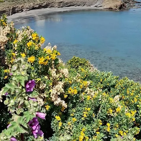 Evasion Unique Sur Notre Voilier Au Cap D